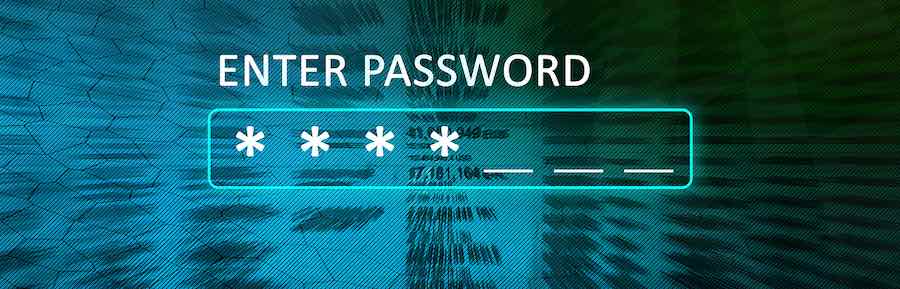identity theft password