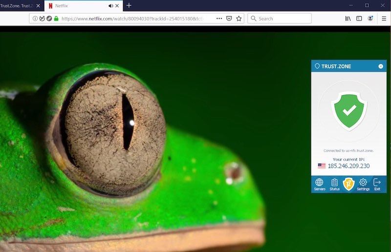 trust zone VPN with Netflix