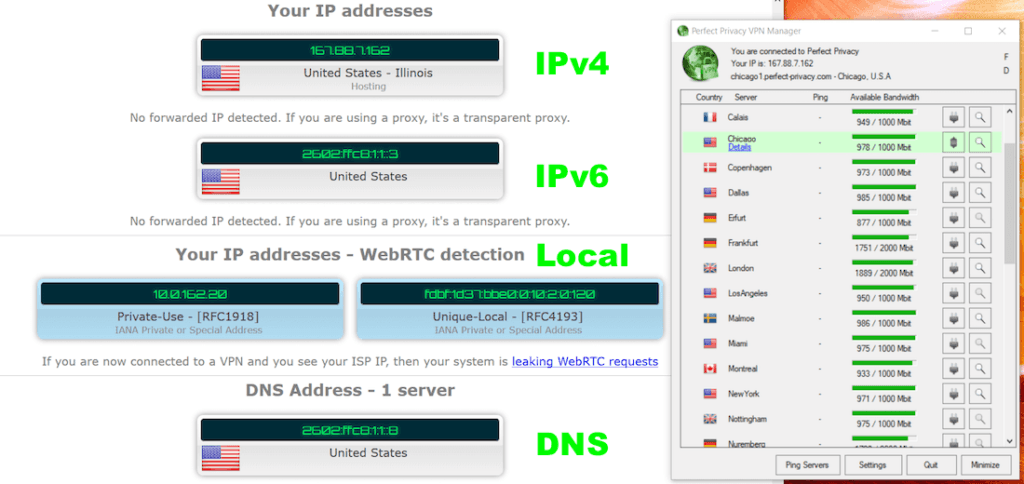 perfect privacy leak test