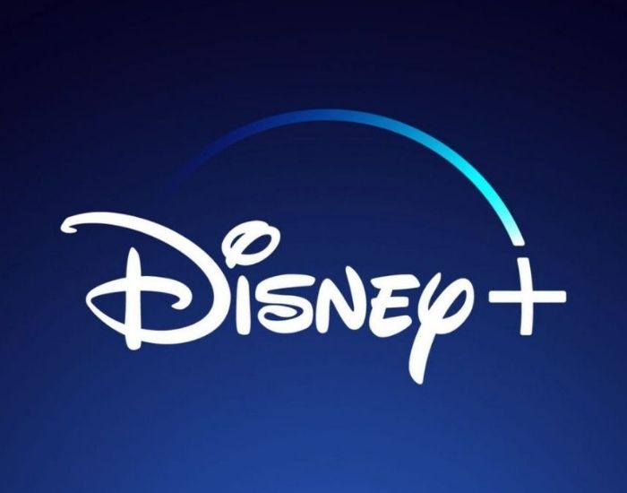 best VPN for Disney Plus