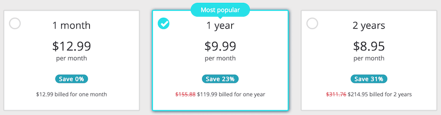 Perfect Privacy VPN price