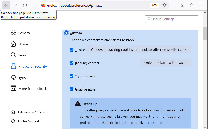 Browser privacy settings
