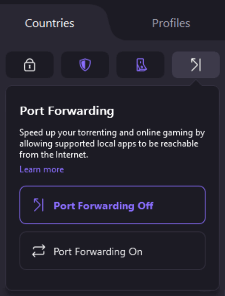Proton VPN port forwarding