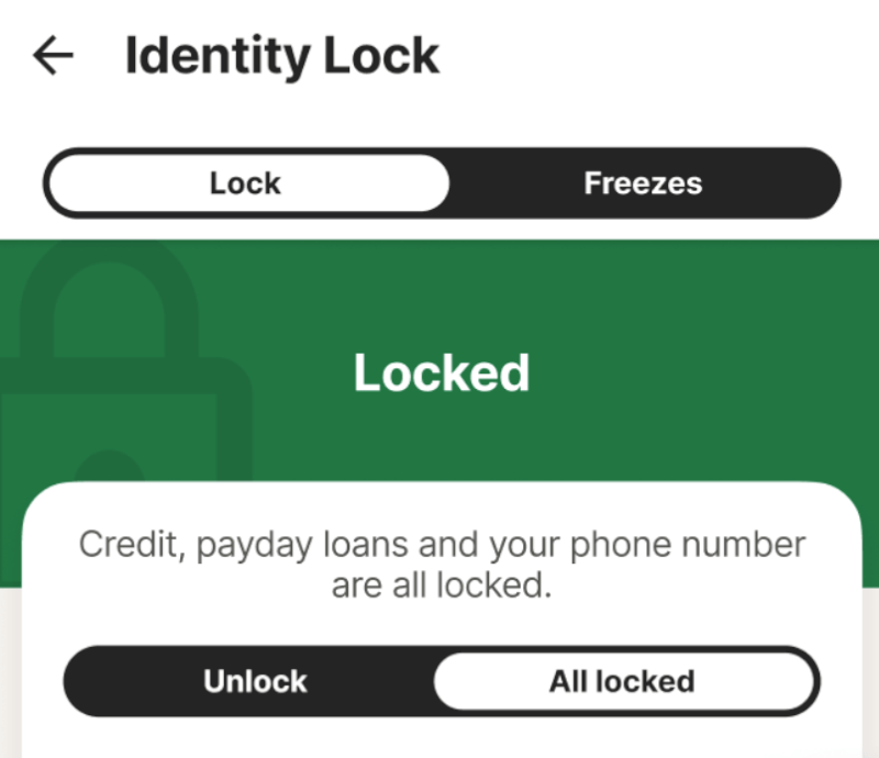 LifeLock credit lock