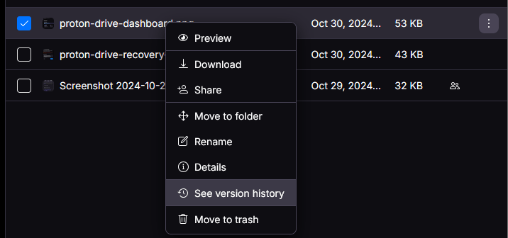 Proton Drive File Versioning